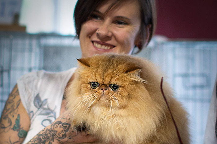 Portrait Daniela Allmer mit Bentley